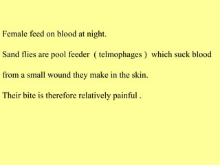Female feed on blood at night.
Sand flies are pool feeder ( telmophages ) which suck blood
from a small wound they make in the skin.
Their bite is therefore relatively painful .
 