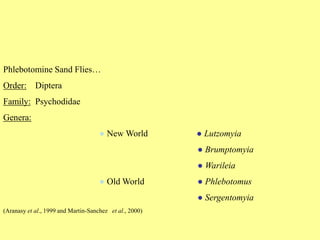 Phlebotomine Sand Flies…
Order: Diptera
Family: Psychodidae
Genera:
● New World ● Lutzomyia
● Brumptomyia
● Warileia
● Old World ● Phlebotomus
● Sergentomyia
(Aranasy et al., 1999 and Martin-Sanchez et al., 2000)
 