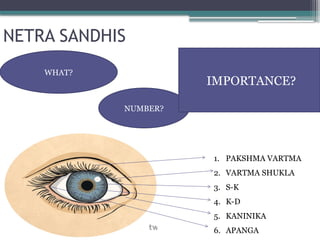 NETRA SANDHIS
WHAT?
NUMBER?
IMPORTANCE?
1. PAKSHMA VARTMA
2. VARTMA SHUKLA
3. S-K
4. K-D
5. KANINIKA
6. APANGA
 