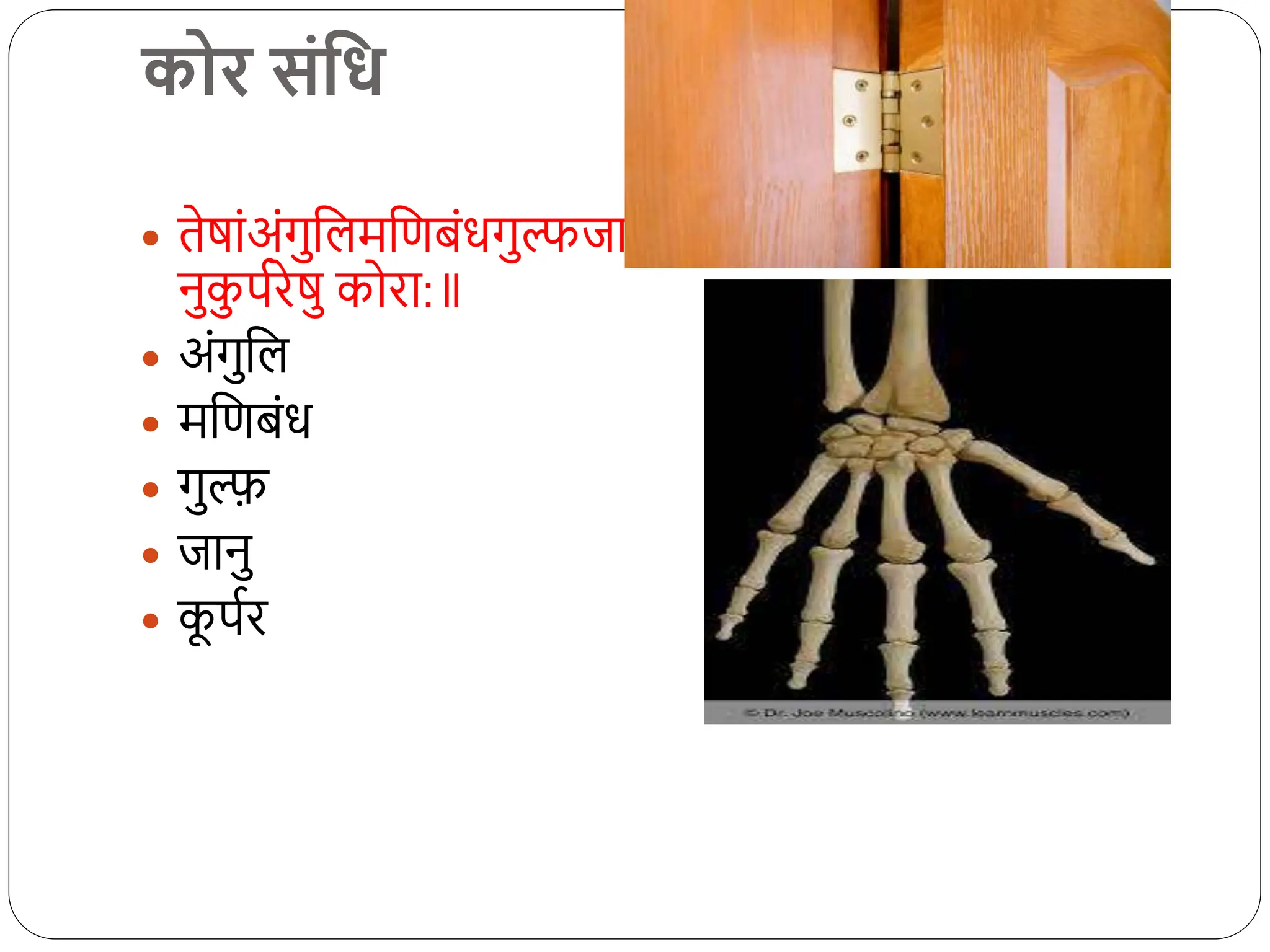िोर संत्तध
 तेषांअंगुधलमधणबंिगुल्फजा
नुक
ु पििेषु कोिा:
 अंगुधल
 मधणबंि
 गुल्फ़
 जानु
 क
ू पिि
 