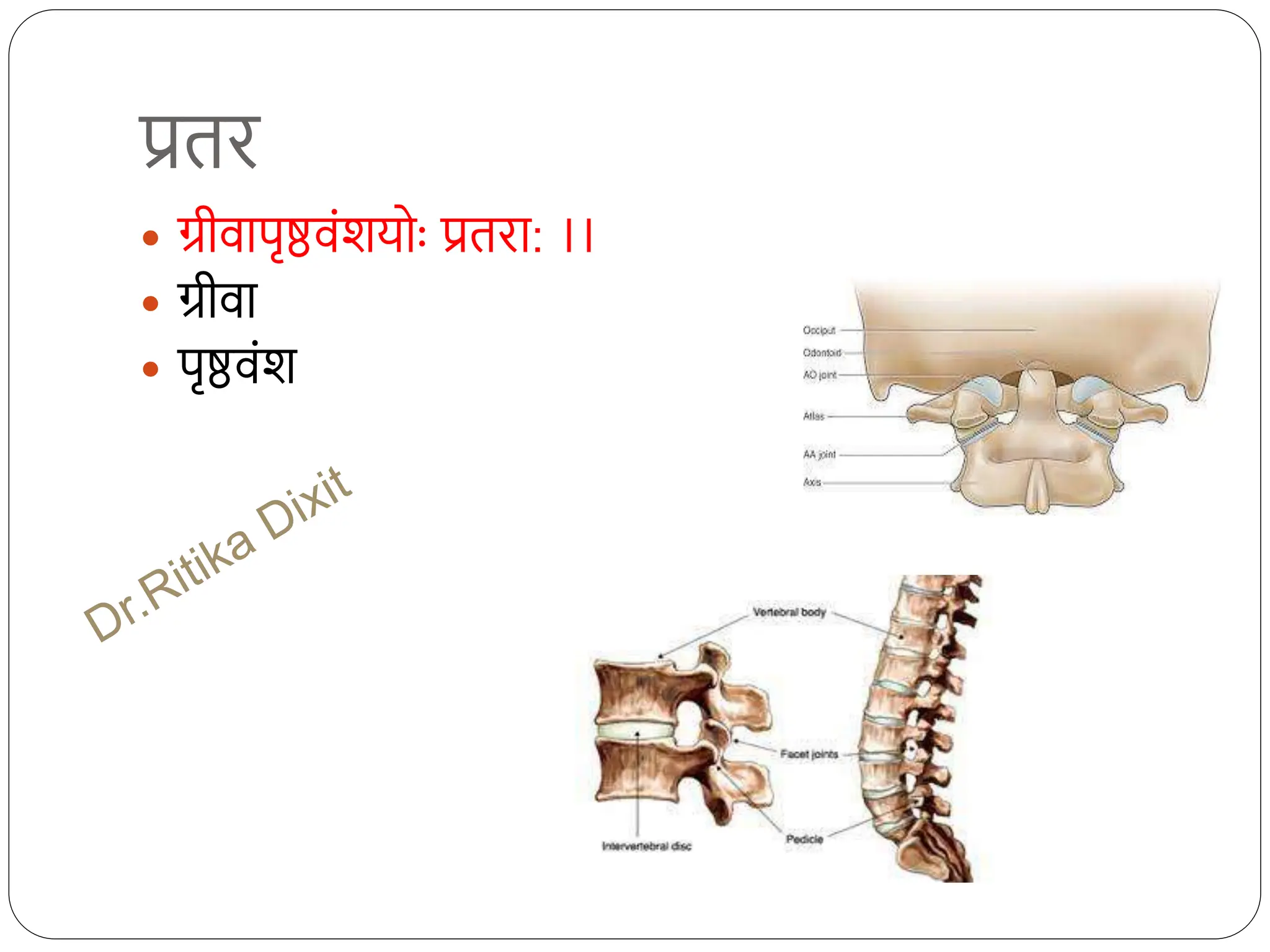 प्रति
 ग्रीवापृष्ठवंशयोाः प्रतिा: ।।
 ग्रीवा
 पृष्ठवंश
 