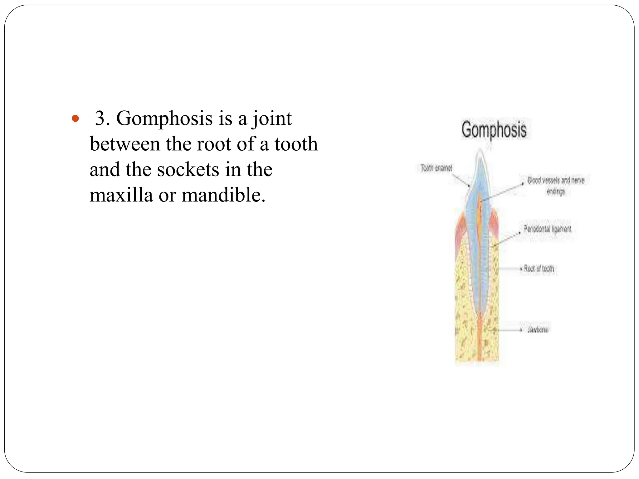  3. Gomphosis is a joint
between the root of a tooth
and the sockets in the
maxilla or mandible.
 