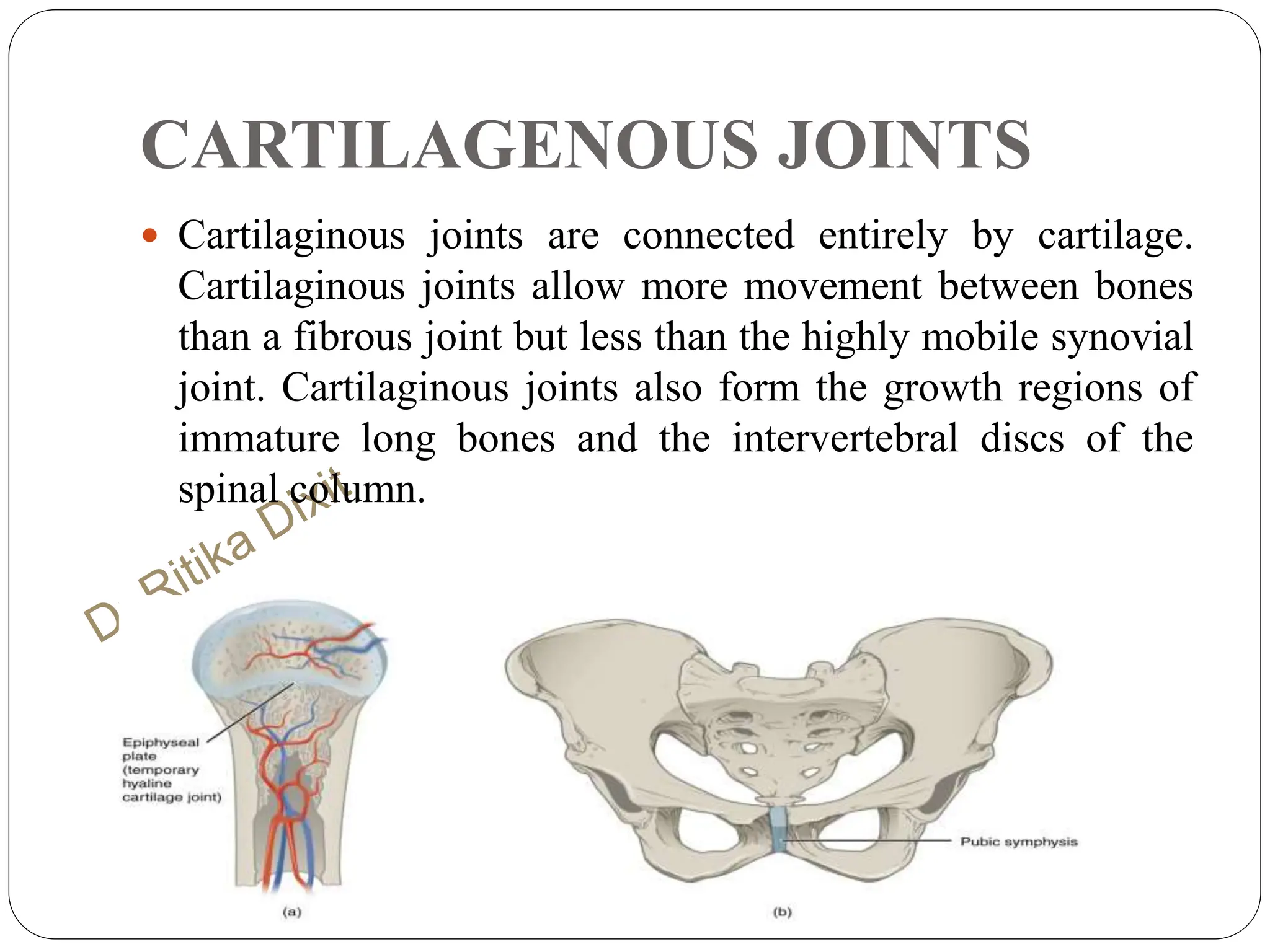CARTILAGENOUS JOINTS
 Cartilaginous joints are connected entirely by cartilage.
Cartilaginous joints allow more movement between bones
than a fibrous joint but less than the highly mobile synovial
joint. Cartilaginous joints also form the growth regions of
immature long bones and the intervertebral discs of the
spinal column.
 