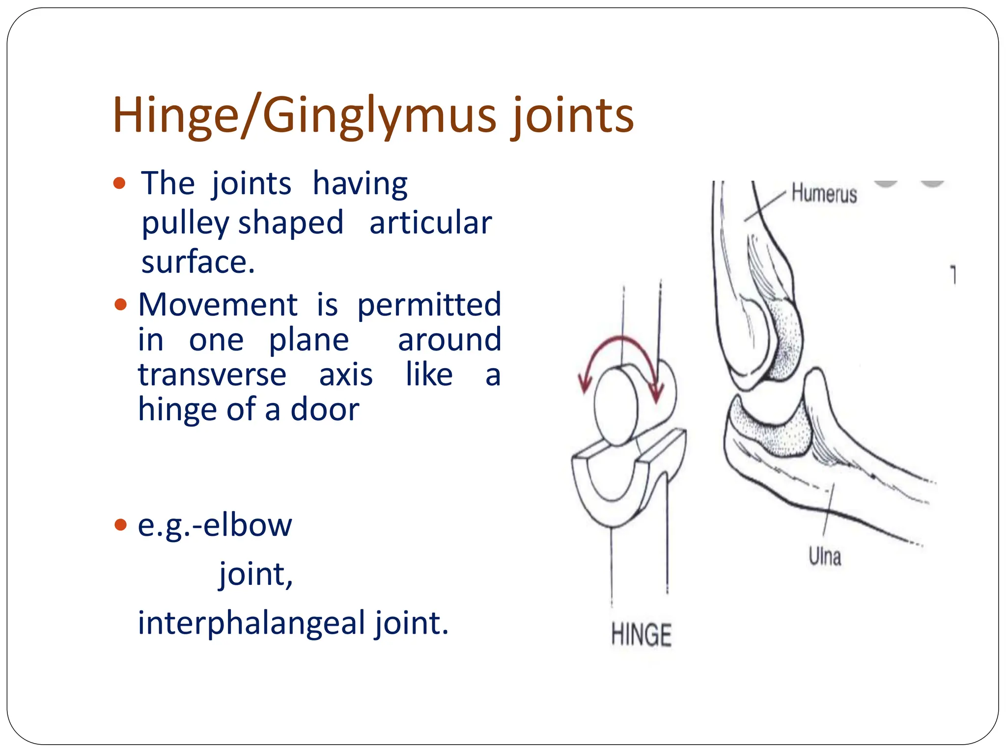 Hinge/Ginglymus joints
 The joints having
pulley shaped articular
surface.
 Movement is permitted
in one plane around
transverse axis like a
hinge of a door
 e.g.-elbow
joint,
interphalangeal joint.
 