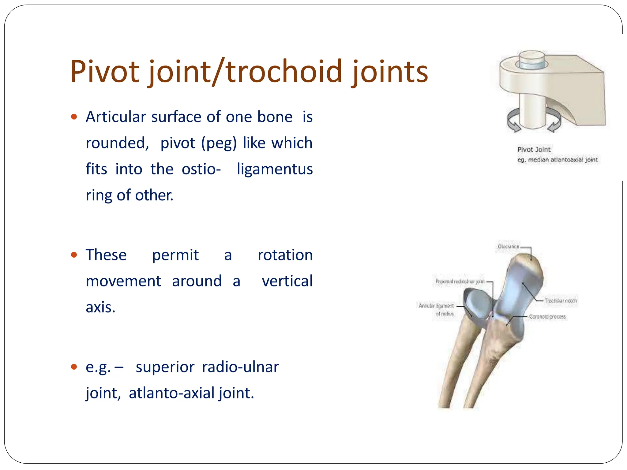 Pivot joint/trochoid joints
 Articular surface of one bone is
rounded, pivot (peg) like which
fits into the ostio- ligamentus
ring of other.
 These permit a rotation
movement around a vertical
axis.
 e.g. – superior radio-ulnar
joint, atlanto-axial joint.
 