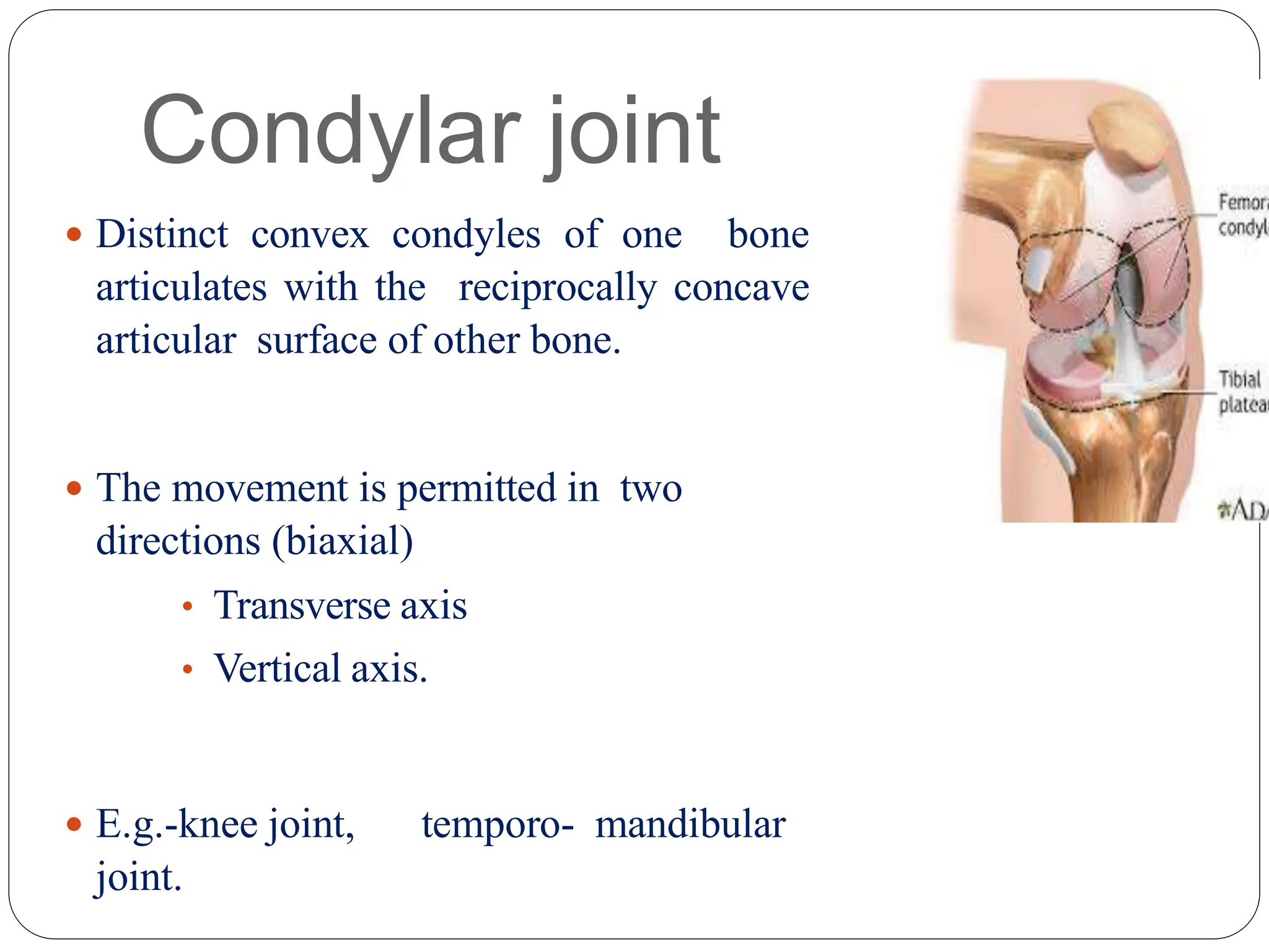 Condylar joint
 Distinct convex condyles of one bone
articulates with the reciprocally concave
articular surface of other bone.
 The movement is permitted in two
directions (biaxial)
• Transverse axis
• Vertical axis.
 E.g.-knee joint, temporo- mandibular
joint.
 