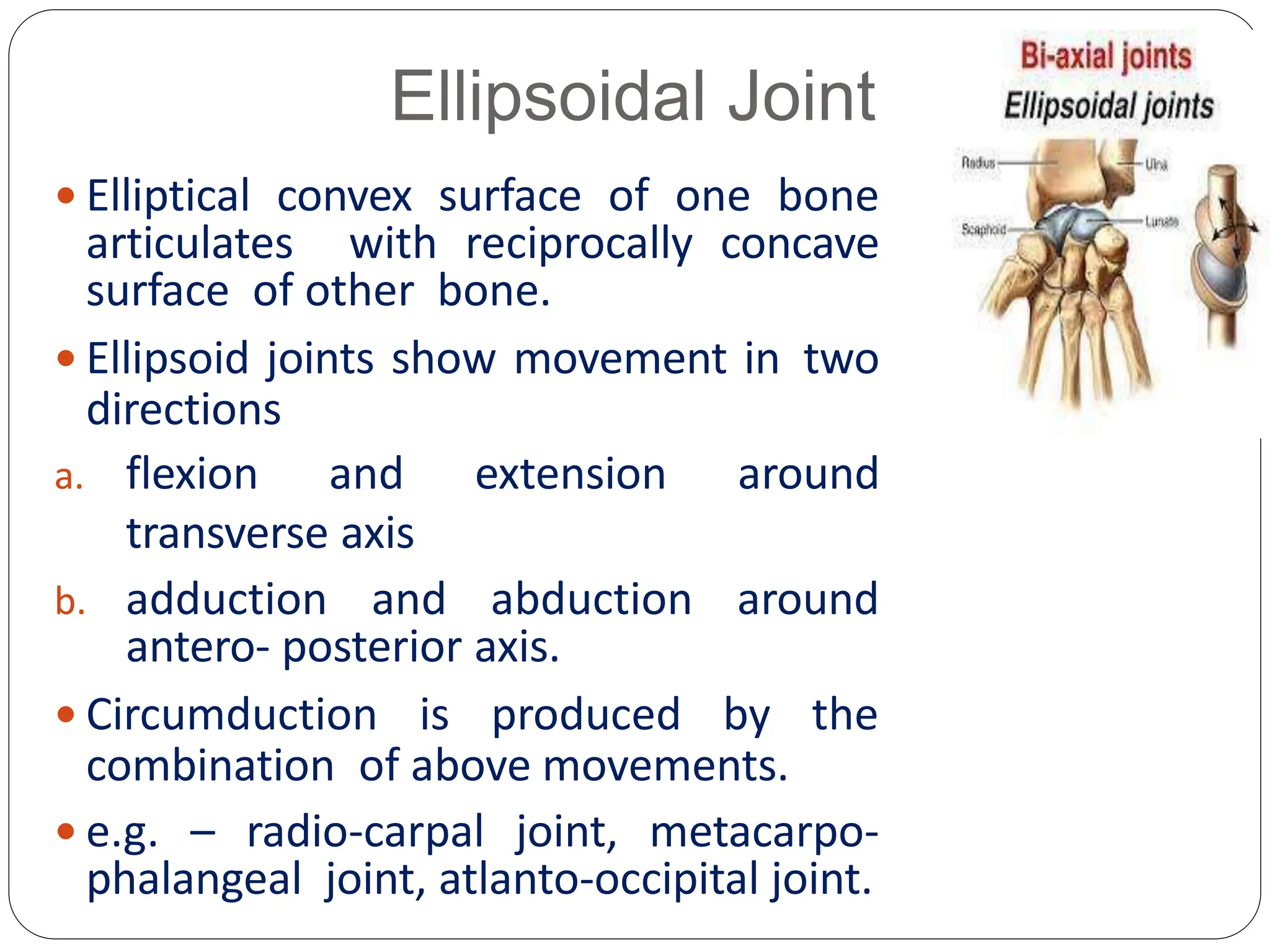 Ellipsoidal Joint
 Elliptical convex surface of one bone
articulates with reciprocally concave
surface of other bone.
 Ellipsoid joints show movement in two
directions
a. flexion and extension around
transverse axis
b. adduction and abduction around
antero- posterior axis.
 Circumduction is produced by the
combination of above movements.
 e.g. – radio-carpal joint, metacarpo-
phalangeal joint, atlanto-occipital joint.
 