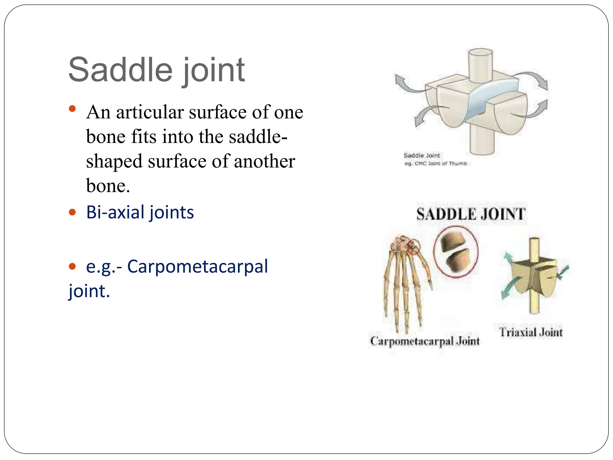 Saddle joint
 An articular surface of one
bone fits into the saddle-
shaped surface of another
bone.
 Bi-axial joints
 e.g.- Carpometacarpal
joint.
 