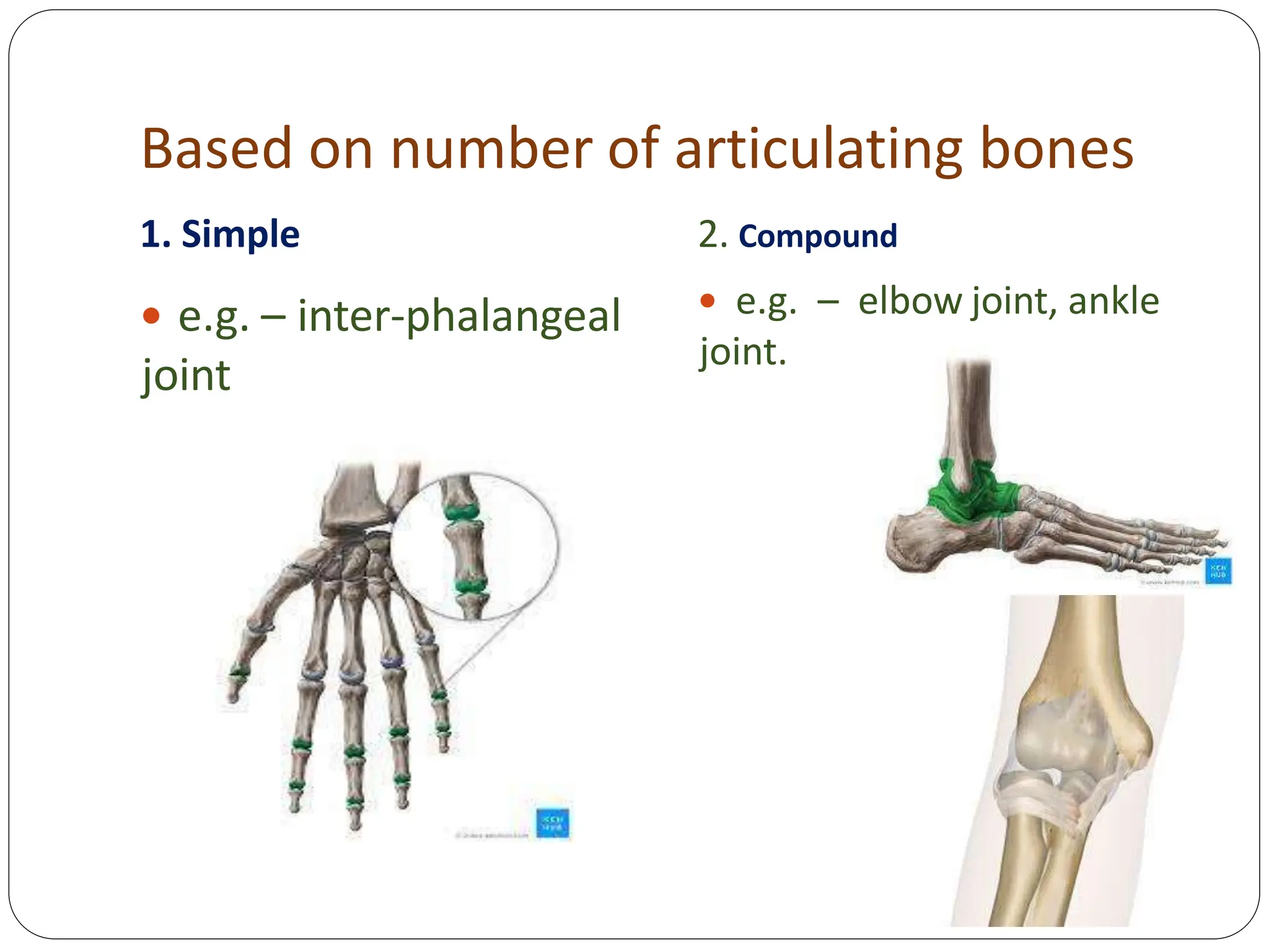 Based on number of articulating bones
1. Simple
 e.g. – inter-phalangeal
joint
2. Compound
 e.g. – elbow joint, ankle
joint.
 