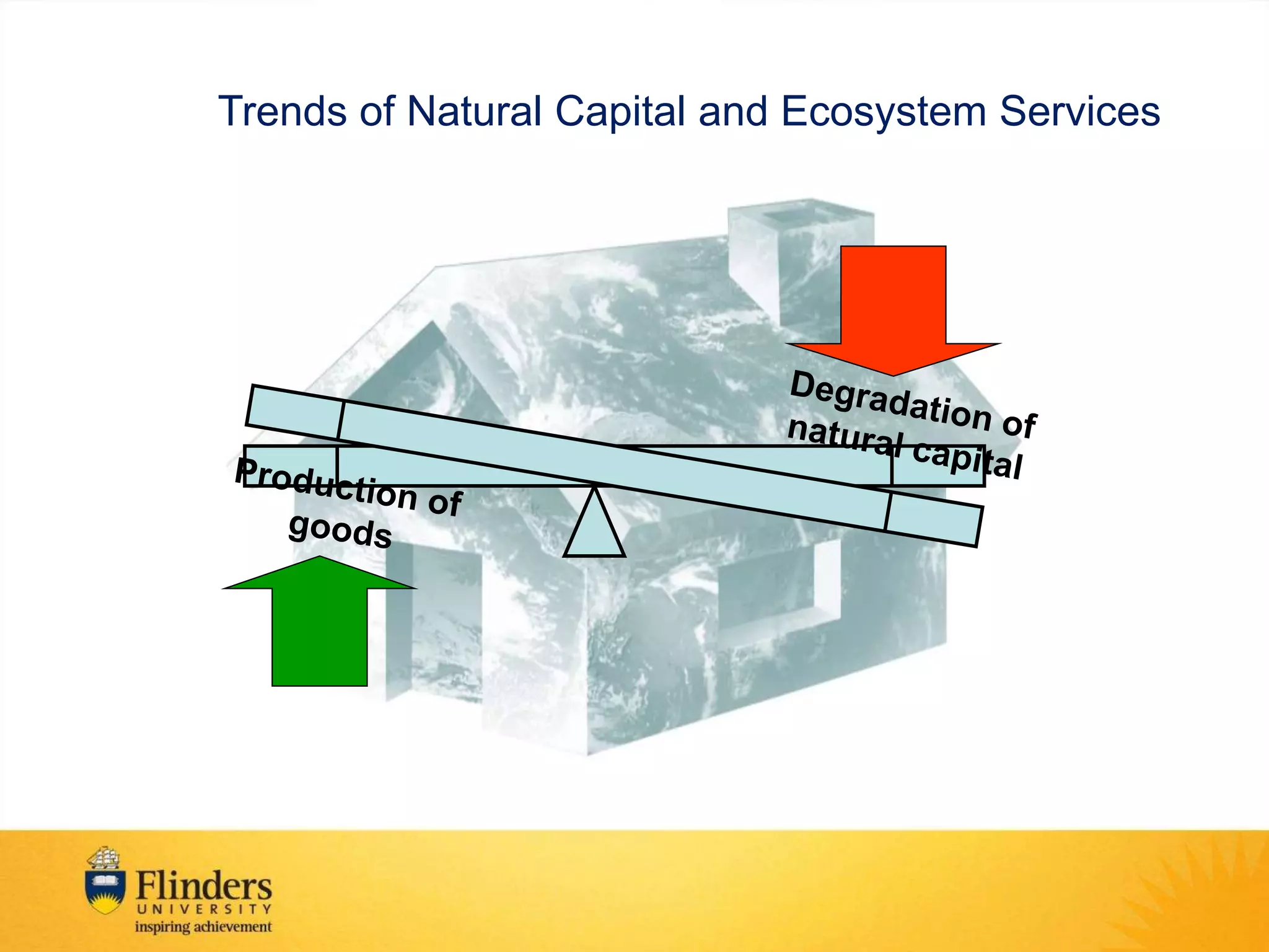 Trends of Natural Capital and Ecosystem Services

 