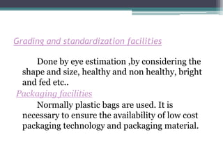 Grading and standardization facilities

    Done by eye estimation ,by considering the
 shape and size, healthy and non healthy, bright
 and fed etc..
Packaging facilities
    Normally plastic bags are used. It is
 necessary to ensure the availability of low cost
 packaging technology and packaging material.
 