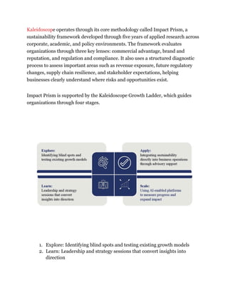 Sandhya Sabapathy_ Helping Businesses Turn Sustainability Strategy into ...