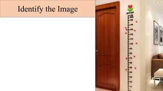 Identify the Image
 