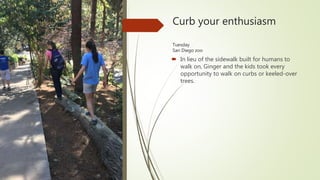 Curb your enthusiasm
Tuesday
San Diego zoo
 In lieu of the sidewalk built for humans to
walk on, Ginger and the kids took every
opportunity to walk on curbs or keeled-over
trees.
 