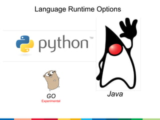Language Runtime Options




    GO              Java
 Experimental
 