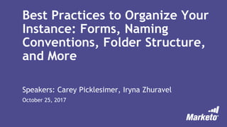 Best Practices to Organize Your
Instance: Forms, Naming
Conventions, Folder Structure,
and More
Speakers: Carey Picklesimer, Iryna Zhuravel
October 25, 2017
 