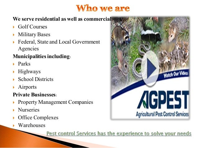 San Diego Pest Control