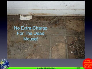 No Extra Charge For The Dead Mouse!