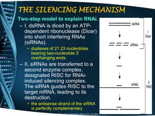 Sandipayan seminar gene silencing | PPSX