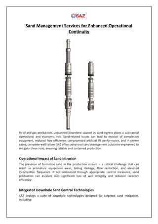 Sand Management Strategy Sand Management Services for Enhanced Operational Continuity.pdf