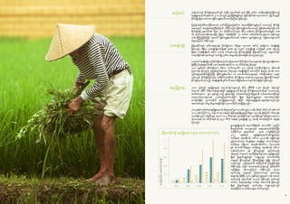 1514
ဆန်စပါး
ပဲအမျ ိုးမျ ိုး
မွေးမြူရေး
ဆန်စပါးသည် စိုက်ပျ ိုးရေးထုတ်ကုန် တန်ဖိုး စုစုပေါင်း၏ ၄၃% ရှိပြီး ဒုတိယ တန်ဖိုးအမြင့်ဆုံးဖြစ်သည့်
မွေးမြူရေးထုတ်ကုန်ထက် ၅ ဆ ပိုသည်။ ဤသို့ဖြစ်ရခြင်းမှာ မြန်မာနိုင်ငံ၏ ရေသယံဇာတ ကြွယ်ဝမှုနှင့်
စိုက်ပျ ိုးမြေကောင်းသော မြစ်ဝကျွန်းပေါ်ဒေသတို့ကြောင့် ဖြစ်သည်။
ပြည်နယ်နှင့်တိုင်းဒေကြီးအားလုံး ပေါင်းကြည့်မည်ဆိုပါက ဧရာဝတီမြစ်ဝကျွန်းပေါ် ဒေသသည် စိုက်ပျ ိုး
ရေးအတွက် အလွန်အရေးကြီးကြောင်း သိနိုင်သည်။ မြစ်ဝကျွန်းပေါ်ဒေသသည် မြစ်ဝှမ်းတစ်ခုလုံးရှိ စပါး
စိုက်ပျ ိုးမြေ စုစုပေါင်း၏ ၆၉% သာ ပိုင်ဆိုင်သော်လည်း နိုင်ငံ့ ဆန်စပါး စိုက်ပျ ိုးထုတ်လုပ်မှု၏ ၇၁%
ကို ထုတ်လုပ်ပေးနိုင်နေသဖြင့် မြန်မာ့ “ဆန်အိုးကြီး” ဟု တင်စား ခေါ်ဝေါ်ထိုက်သည့်ဒေသ ဖြစ်သည်။
ယင်းကိုကြည့်ခြင်းဖြင့် ဧရာဝတီ မြစ်ဝကျွန်းပေါ်ဒေသ၏ တစ်ဧက ထွက်နှုန်းသည် ကျန်ဒေသများထက်
ပိုများကြောင်း သိနိုင်သည်။
မြန်မာနိုင်ငံတွင် ဒုတိယအများဆုံး စိုက်ပျ ိုးသော သီးနှံမှာ ကုလားပဲ၊ ပဲစင်းငုံ အစရှိသော ပဲအမျ ိုးမျ ိုး
ဖြစ်သည်။ အိန္ဒိယ (ပဲအမျ ိုးမျ ိုးတင်ပို့မှု၏ ၅၈%) နှင့် တရုတ် (ပဲအမျ ိုးမျ ိုး တင်ပို့မှု၏ ၁၈%) တို့သည်
မြန်မာ့ ပဲအမျ ိုးမျ ိုးကို အဓိက ဝယ်ယူ တင်သွင်းသည့် နိုင်ငံများဖြစ်ပြီး မြန်မာနိုင်ငံသည် ကမ္ဘာပေါ်တွင်
ကနေဒါနိုင်ငံ၏ နောက်တွင် ပဲတင်ပို့မှု ဒုတိယ အများဆုံး နိုင်ငံအဖြစ် ရပ်တည်နေသည်။
ယခုအခါ ပဲအမျ ိုးမျ ိုးသည် စိုက်ပျ ိုးရေးထုတ်ကုန်များအနက် နိုင်ငံခြားဝင်ငွေ အများဆုံး ရရှိသည့် အမျ ိုးအစား
ဖြစ်ပြီး ပို့ကုန်စုစုပေါင်း၏ ၁၂% (အမေရိကန်ဒေါ်လာ ၁.၄ ဘီလီယံခန့်) ရှိသည်။
၂၀၁၁ ခုနှစ်တွင် ပဲစိုက်ပျ ိုးသော ဧရိယာ ဟက်တာပေါင်း ၄.၄ သန်းခန့် (စပါးစိုက်ပျ ိုးသော ဧရိယာ၏
၅၅% ခန့်) ရှိသည်ဟု ခန့်မှန်းချက်များအရ သိရသည်။ ပဲအမျ ိုးမျ ိုးကို အလယ်ပိုင်း မိုးနည်း ရပ်ဝန်း ဒေသ
တွင်အများဆုံးစိုက်ပျ ိုးကြပြီး မြစ်ဝကျွန်းပေါ်ဒေ သ၊ တောင်ပေါ်ဒေသများနှင့် ကမ်းရိုးတန်းဒေ သများ
တွင်လည်း စိုက်ပျ ိုးကြသည်။ တစ်နိုင်ငံလုံးဆိုင်ရာ စိုက်ပျ ိုးရေး စာရင်းဇယားများအရ မြန်မာနိုင်ငံအတွင်
စိုက်ပျ ိုးထုတ်လုပ်သည့် ပဲအမျ ိုးမျ ိုး၏ ၉၆% ကို ဧရာဝတီမြစ်ဝှမ်းဒေသတွင် စိုက်ပျ ိုးခြင်း ဖြစ်သည်။
၂၀၁၀ ခုနှစ်တွင် မွေးမြူရေးနှင့် ရေလုပ်ငန်းကဏ္ဍသည် နိုင်ငံ့ ဂျ ီဒီပီ၏ ၇.၄% ရှိသည်။ သို့ရာတွင်
တရားဝင် ဂျ ီဒီပီ ကိန်းဂဏန်းများအပြင် မွေးမြူရေးလုပ်ငန်းသည် စိုက်ပျ ိုးရေးလုပ်ငန်းနှင့် တသားတည်း
ဆက်စပ်နေကာ - နွား (နှင့်ကျွဲ) သည် ခွန်အားဖြင့် လုပ်ဆောင်ရမည့်ကိစ္စများကို လုပ်ဆောင်ပေးခြင်းနှင့်
ကျေးလက်ဒေသများတွင် သယ်ယူပို့ဆောင်ပေးခြင်း၊ နို့နှင့် နို့ထွက်ပစ္စည်းများ ထောက်ပံ့ပေးခြင်း
စသည်တို့ဖြင့် လူသားတို့ကို အကျ ိုးပြုပေးသည်။ ထို့ပြင် အခြားမွေးမြူရေးသတ္တဝါများသည်လည်း
အစားအစာနှင့် ဝင်ငွေတိုးပွားစေခြင်းဖြင့် လူသားတို့ကို အကျ ိုးပြုသည်။
၂၀၁၂ ခုနှစ် စာရင်းအရ မွေးမြူရေးလုပ်ငန်းများတွင် နွား ၁၄ သန်း၊ ကျွဲ ၃.၁ သန်း၊ သိုးနှင့် ဆိတ် ၄.၆ သန်း၊ ဝက်
၁၀.၃ သန်း၊ ကြက် ၁၇၂ သန်း၊ ဘဲ ၁၅ သန်းနှင့် အခြားမွေးမြူရေးကြက်များ ၁.၉ သန်း ရှိကြောင်း သိရသည်။
လူတစ်ဦးသည် တစ်နှစ်လျှင် အသား ၁၁.၃ ကီလိုဂရမ် (ဂျာမနီနိုင်ငံတွင် လူတစ်ဦးလျှင် နှစ်စဉ်စားသုံးသော
အသားဂရမ် ၈၈ ကီလိုဂရမ်)၊ နို့ ၁၅.၃ ကီလို ဂရမ်နှင့် ဥအမျ ိုးမျ ိုး ၅၂ လုံးခန့် စားသုံးကြောင်း ခန့်မှန်း
ကြသည်။
နွားမွေးမြူရေးကို ဧရာဝတီမြစ်ဝှမ်း အလယ်ပိုင်း အပူပိုင်း
မိုးနည်းရပ်ဝန်း ဒေသများတွင် အများဆုံးလုပ်ကိုင်ကြပြီး
တစ်နိုင်ငံလုံး စုစုပေါင်း၏ ၅၀% ကျော်ဖြစ်သည်။
၂၀၁၂ ခုနှစ်တွင် မွေးမြူရေးထွက်ကုန်ပစ္စည်းများ
တင်ပို့ရာမှ အမေရိကန် ဒေါ်လာ ၄၇.၁သန်း ရရှိခဲ့သည်။
ဤပမာဏသည် ငါးပုဇွန်များ (ရေချ ိုနှင့် ပင်လယ်ငါးများ)
တင်ပို့ရာမှ ရရှိသော အမေရိကန်ဒေါ်လာ ၆၄၁.၇သန်း
နှင့် ကောက်ပဲသီးနှံများ တင်ပို့ရာမှ အမေရိကန် ဒေါ်လာ
သန်းပေါင်း၂၆၀ဝ နှင့် နှိုင်းယှဉ်လျှင် နည်းပါးသည်။
သို့ရာတွင် တရားဝင် ထုတ်ပြန်ချက်များအရ မွေးမြူရေးနှင့်
နို့နှင့် နို့ထွက်ပစ္စည်းများ ကဏ္ဍသည် ကောက်ပဲသီးနှံ
ကဏ္ဍနှင့် နှိုင်းယှဉ်လျှင် ပိုမိုလျင်မြန်စွာ ဖွံဖြိုး တိုးတက်
လာခဲ့သည်။ ဤအချက်ကို ဖော်ပြပါပုံကို ကြည့်ခြင်းဖြင့်
သိနိုင်သည်။ ပုံတွင် အသားထုတ်လုပ်မှုသည် နှစ်အလိုက်
လျင်မြန်စွာ တိုးလာကြောင်း သိနိုင်သည်။ အသား
ထုတ်လုပ်မှု ကဏ္ဍတွင် ကြက်သားသည် ထုတ်လုပ်မှု
အများဆုံး ဖြစ်ပြီး ၂၀၁၀ ခုနှစ်တွင် ၉၉၅၃၈၀ တန် (အသား
ထုတ်လုပ်မှု စုစုပေါင်း၏ ၅၁.၃%) ဖြစ်သည်။ ဒုတိယနှင့်
တတိယ အများဆုံးတို့မှာ ဝက်နှင့် အမဲသားတို့ ဖြစ်သည်။
နို့နှင့် နို့ထွက်ပစ္စည်း ထုတ်လုပ်မှု ကဏ္ဍသည်လည်း
အရေးကြီးသော အခန်းကဏ္ဍမှ ပါဝင်နေသည်။
2001
0.2
0.4
0.6
0.8
1
2005 2008 2011 2013
တန်ပေါင်းထောင်ဂဏန်း
မြန်မာနိုင်ငံရှိ မွေးမြူရေးကဏ္ဍမှ အသားထုတ်လုပ်မှု
 