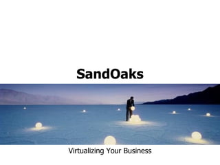 SandOaks




Virtualizing Your Business
 