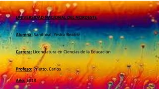 UNIVERSIDAD NACIONAL DEL NORDESTE
Alumna: Sandoval, Yesica Beatriz
Carrera: Licenciatura en Ciencias de la Educación
Profeso: Prietto, Carlos
Año: 2018
 