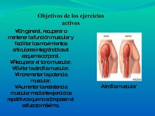 •  En general, recuperar o mantener la función muscular y facilitar los movimientos articulares integrándolos al esquema corporal. • Recuperar el tono muscular. • Evitar la atrofia muscular. • Incrementar la potencia muscular. • Aumentar la resistencia muscular mediante ejercicios repetitivos que no sobrepasen el esfuerzo máximo. Objetivos de los ejercicios activos Atrofia muscular 