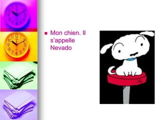  Mon chien. Il 
s’appelle 
Nevado 
 