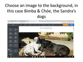 Choose an image to the background, in
this case Bimba & Chóe, the Sandra’s
dogs
 