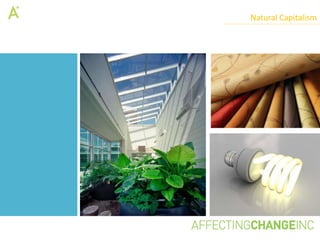 Natural Capitalism
 