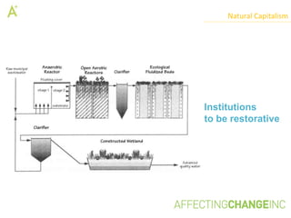 Natural Capitalism




Institutions
to be restorative
 