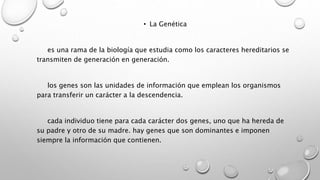 • La Genética
es una rama de la biología que estudia como los caracteres hereditarios se
transmiten de generación en generación.
los genes son las unidades de información que emplean los organismos
para transferir un carácter a la descendencia.
cada individuo tiene para cada carácter dos genes, uno que ha hereda de
su padre y otro de su madre. hay genes que son dominantes e imponen
siempre la información que contienen.
 