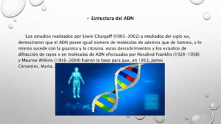 • Estructura del ADN
Los estudios realizados por Erwin Chargaff (1905-2002) a mediados del siglo xx,
demostraron que el ADN posee igual número de moléculas de adenina que de tiamina, y lo
mismo sucede con la guanina y la citosina. estos descubrimientos y los estudios de
difracción de rayos x en moléculas de ADN efectuados por Rosalind Franklin (1920-1958)
y Maurice Wilkins (1916-2004) fueron la base para que, en 1953, James
Cervantes, Marta, and Margarita Hernández.
 