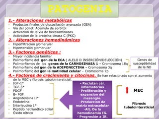 1.- Alteraciones metabólicas
   Productos finales de glucosilación avanzada (GEA)
   Vía del poliol: Acúmulo de sorbitol
   Activacion de la via de hexosaminasas
   Activacion de la proteina cinasa C (PKC)
2.- Alteraciones hemodinámicas
   Hiperfiltración glomerular
   Hipertensión glomerular
3.- Factores genéticos :
 Mayor incidencia familiar
 Polimorfismo del gen de la ECA ( ALELO D INSERCIÓN/DELECCIÓN)        Genes de
 Polimorfismos de los genes de la CARNOSINASA 1 – Cromosoma 18q     susceptibilidad
 Polimorfismo del gen de la ADIPONECTINA – Cromosoma 3q                de la ND
 Polimorfismo del gen la motilidad celular – Cromosoma 7p
4.- Factores de crecimiento y citocinas. Se han relacionado con el aumento
  de la MEC y fibrosis tubulointersticial.
 IGF-1*                                     - Reclutan cél.
 TGF-β*                                      inflamatorias
 PDGF                                      - Proliferación y        MEC
 B- FGF                                      expansion del
 Angiotensina II*                              mesangio.
 Endotelina                                 -Produccion de
                                                                    Fibrosis
 Interleucina 1*                          matriz extracelular
                                                                tubulointersticial
 Péptido natriurético atrial                   -Alt. De la
 Óxido nítrico                             hemodinamia IG.
                                           - Progresión a IR.
 