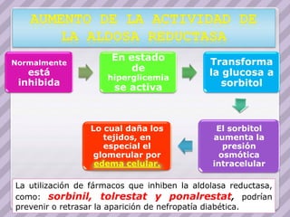 Normalmente
                      En estado               Transforma
   está                   de                  la glucosa a
                     hiperglicemia
 inhibida                                        sorbitol
                       se activa



                 Lo cual daña los              El sorbitol
                    tejidos, en               aumenta la
                    especial el                  presión
                 glomerular por                 osmótica
                  edema celular.              intracelular

La utilización de fármacos que inhiben la aldolasa reductasa,
como: sorbinil, tolrestat y ponalrestat, podrían
prevenir o retrasar la aparición de nefropatía diabética.
 