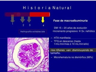 -los riñones van disminuyendo de
tamaño.
 