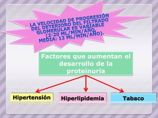 Factores que aumentan el
     desarrollo de la
       proteinuria
 