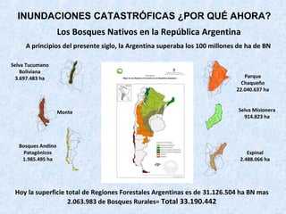 Los Bosques Nativos en la República Argentina
A principios del presente siglo, la Argentina superaba los 100 millones de ha de BN
Parque
Chaqueño
22.040.637 ha
Selva Misionera
914.823 ha
Espinal
2.488.066 ha
Selva Tucumano
Boliviana
3.697.483 ha
Monte
Bosques Andino
Patagónicos
1.985.495 ha
Hoy la superficie total de Regiones Forestales Argentinas es de 31.126.504 ha BN mas
2.063.983 de Bosques Rurales= Total 33.190.442
INUNDACIONES CATASTRÓFICAS ¿POR QUÉ AHORA?
 