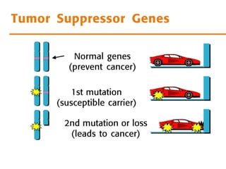 Sacred Encounters
Perfect Care
Healthiest Communities
 