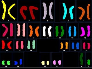 Sacred Encounters
Perfect Care
Healthiest Communities
 