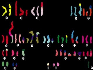 Sacred Encounters
Perfect Care
Healthiest Communities
 