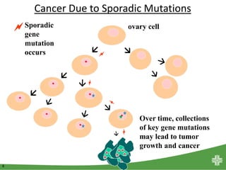 8
Cancer Due to Sporadic Mutations
 
ovary cellSporadic
gene
mutation
occurs
Over time, collections
of key gene mutations
may lead to tumor
growth and cancer



 