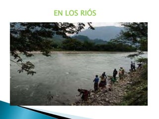 EN LOS RIÓS 
 