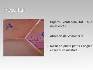 Hipòtesi verdadera, tot i que no és el cas Absència de  Salmonel·la  No hi ha punts petits i negres en les dues mostres 