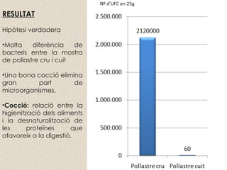 RESULTAT Hipòtesi verdadera Molta diferència de bacteris entre la mostra de pollastre cru i cuit Una bona cocció elimina gran part de microorganismes. Cocció:  relació entre la higienització dels aliments i la desnaturalització de les proteïnes que afavoreix a la digestió. 