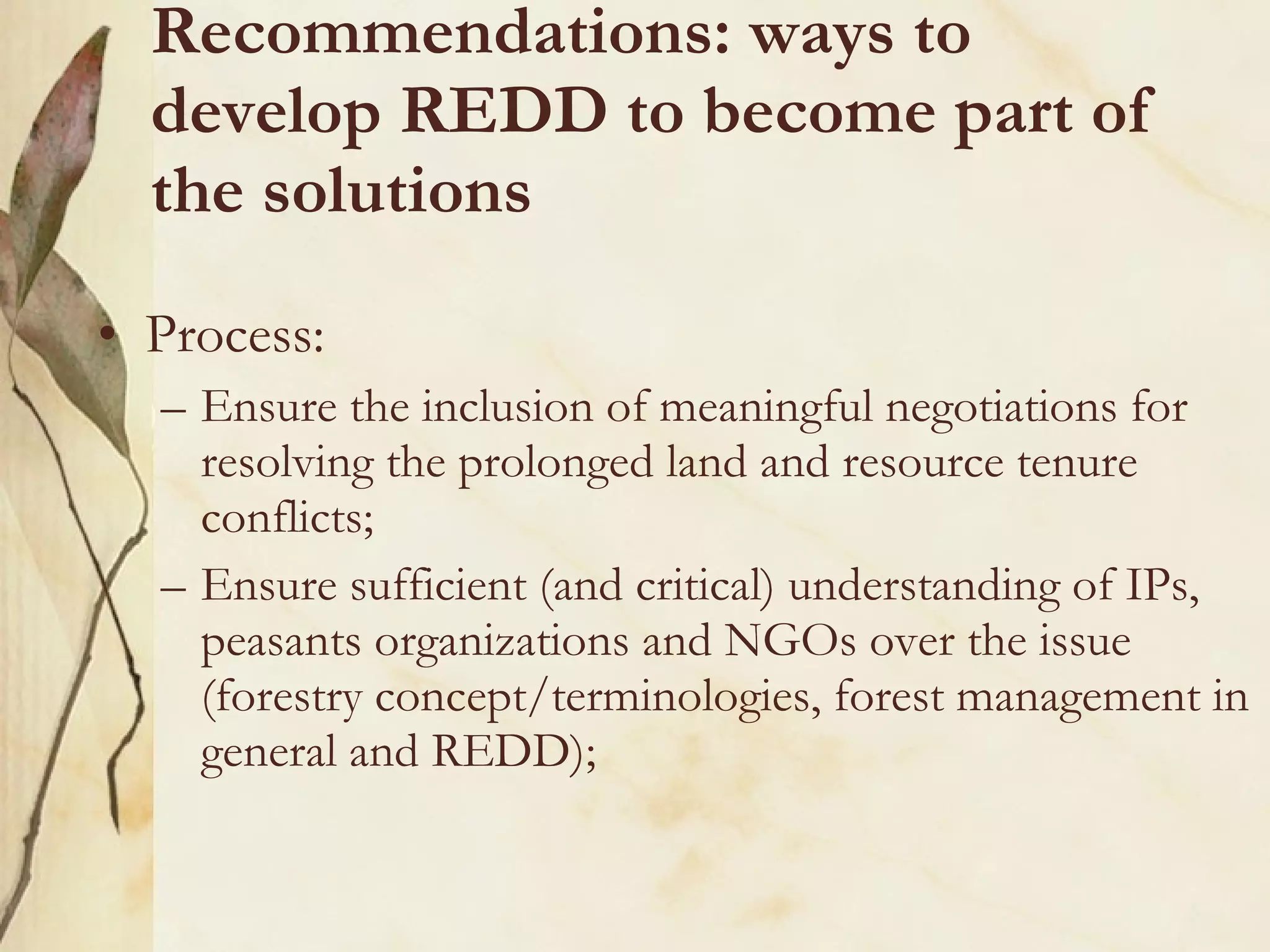 Recommendations: ways to develop REDD to become part of the solutions Process:  Ensure the inclusion of meaningful negotiations for resolving the prolonged land and resource tenure conflicts; Ensure sufficient (and critical) understanding of IPs, peasants organizations and NGOs over the issue (forestry concept/terminologies, forest management in general and REDD); 