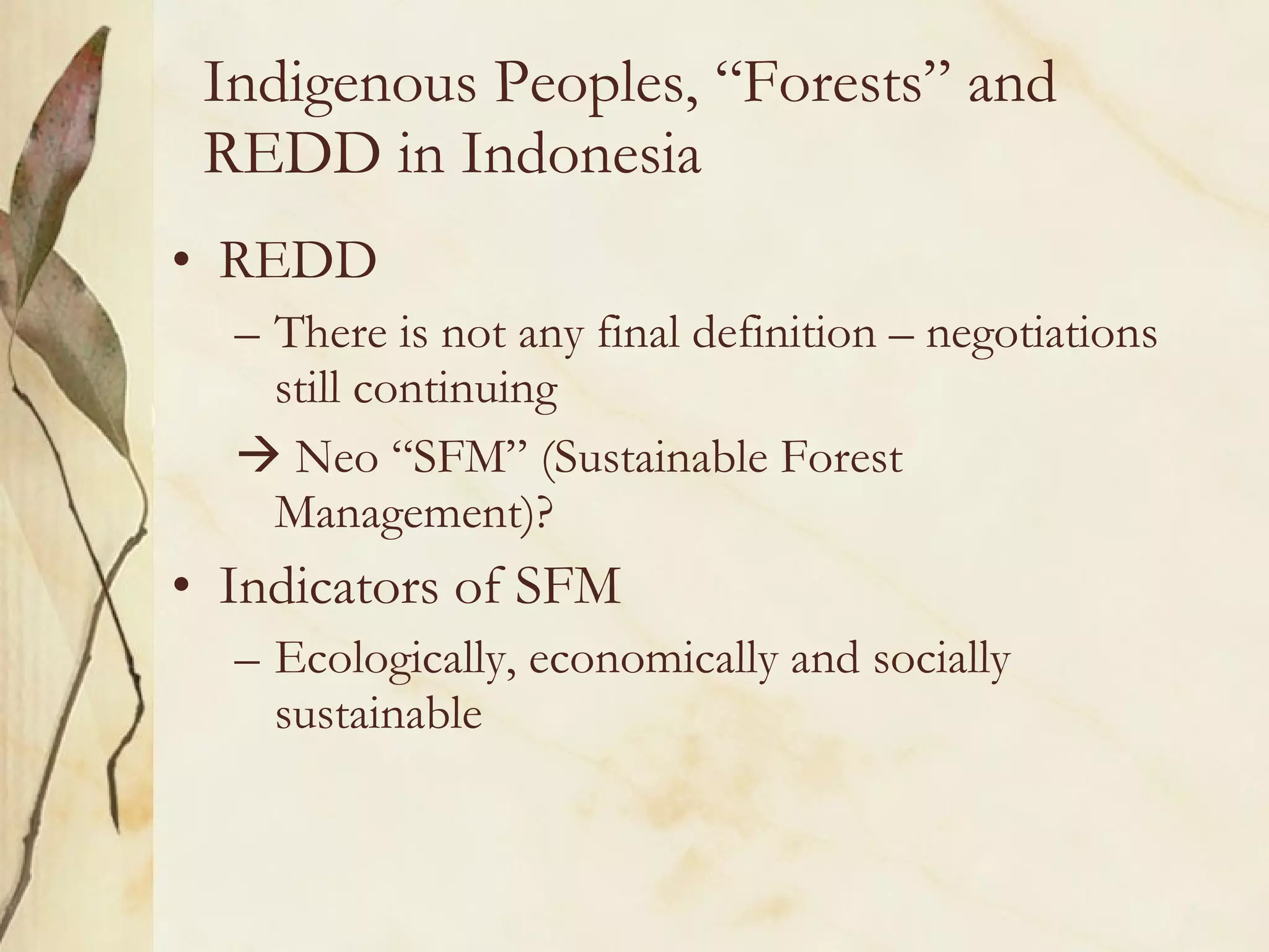 Indigenous Peoples, “Forests” and REDD in Indonesia REDD  There is not any final definition – negotiations still continuing     Neo “SFM” (Sustainable Forest Management)? Indicators of SFM Ecologically, economically and socially sustainable 