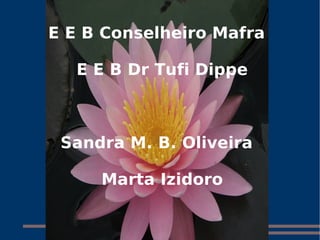 E E B Conselheiro Mafra  E E B Dr Tufi Dippe Sandra M. B. Oliveira  Marta Izidoro 