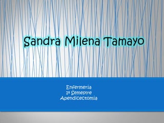 Sandra Milena Tamayo



        Enfermería
        1ª Semestre
      Apendicectomía
 